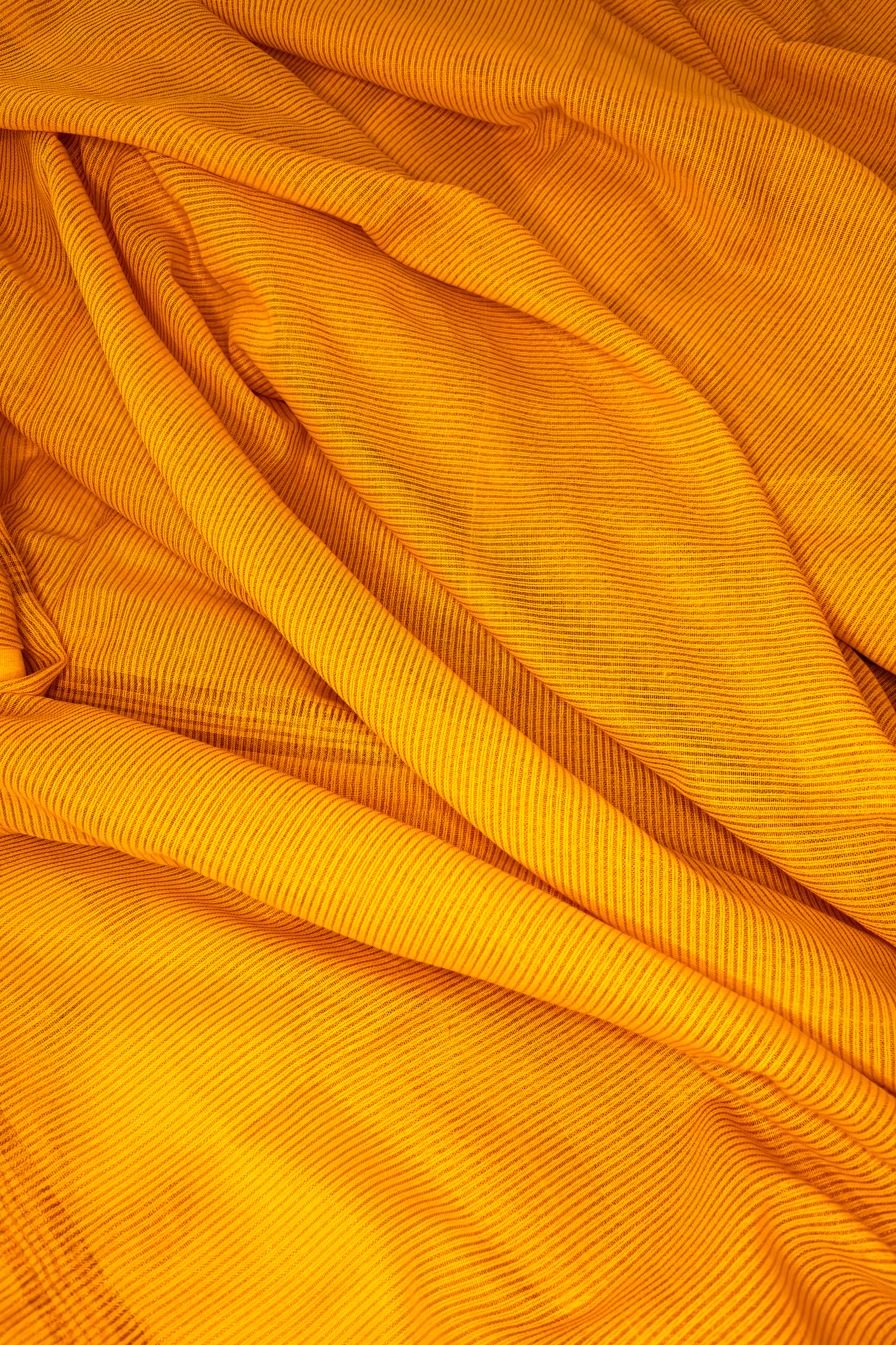 Rekha (Yellow)