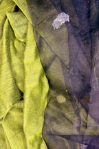 Pallu Story (Green)