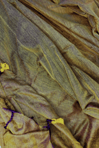 Pure Loom (Olive Green)